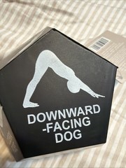 Yoga Dice Poises