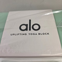 Alo Yoga Uplifting Yoga Block Honeydew Silver Logo A0084U New NWT