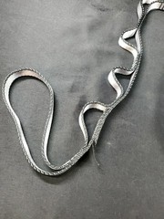 Orbsoul Aerial Silks Replacement Part 1 Hammock Daisy Chain Loop Nylon 15KN New