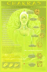 YOGA CHAKRAS AND MUDRAS Beautiful Yoga Studio 24×36 Wall Chart POSTER