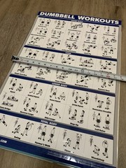 WORKOUT LAMINATED POSTERS~5 PACK~2,DUMBBELL 2,STRETCHING 1,YOGA~17.5”X26.5” VNC