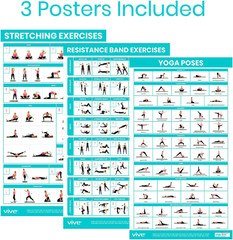 Yoga Poses + Stretching Exercises + Resistance Band Workouts Poster (3 Pack) 149