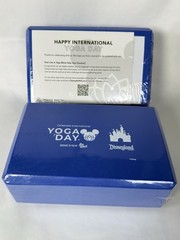 2 Disney yoga day block New