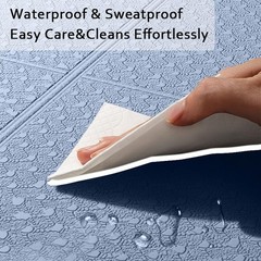 Foldable Camping Mat & Travel Exercise Pad – Waterproof TPE Outdoor Mat for H…