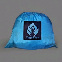 Yoga4You Trapeze Set Aerial Yoga Swing Set – Yoga Hammock Trapeze Swing
