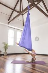 PINC Active Silk Aerial Yoga Swing Hammock Kit for Improved Yoga Inversions,…