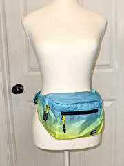 Hoka Running Belt Bag Waist Fanny Pack Blue Green Workout Hiking Gorpcore Trails