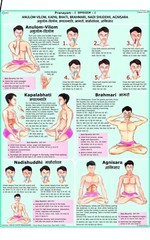 Yoga Charts ( Set of 10 charts )