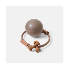 Pilates Prop Kit for Home Workouts- Includes Pilates Ring, Pilates Ball and 2…
