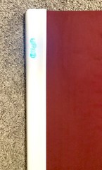 Yogifi gen 2 yoga mat red colour yoga matt for yoga posture guided yoga classes 