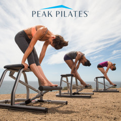 MVe® Fitness Chair (Single Pedal)