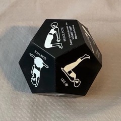 12-Sided Yoga Dice Single Die Roll To Choose Your Yoga Poses Asanas Black Foam