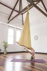PINC Active Silk Aerial Yoga Swing & Hammock Kit for Improved Yoga Inversions, F