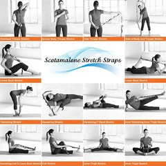 3 pcs Stretching Belt Training Strap Fitness Losing Weight Pilates