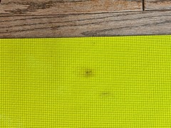 Aerie Yoga Mat -anti skid Fitness Mat Thick Comfort Foam Yoga Mat 5-8mm