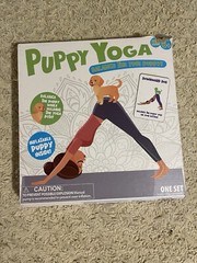 Mindfulness Puppy Yoga Game Wellness Balance The Yogi Puppy Self-care NEW
