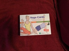 WorkoutLabs Yoga Cards Beginner & Intermediate Visual Guide ~ no flaws