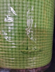 Mind Reader Green Yoga Mat Carrying Strap Included Exercise Gym Stretch Workout
