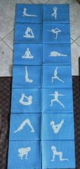 Blue Foldable Yoga Mat w/Poses 5mm