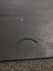 Fitness Mat and Floor Protector for Treadmills, Ellipticals, Exercise Bikes