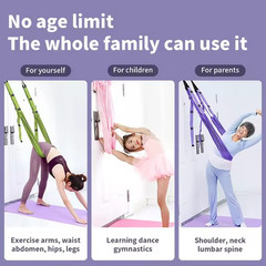 Adjustable Aerial Yoga Hammock Set wing Stretch Strap Dance Fitness Yoga Trainin