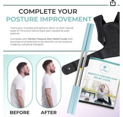 Fitphysio Yoga Stick & With Adjustable Posture Brace (Size Large)