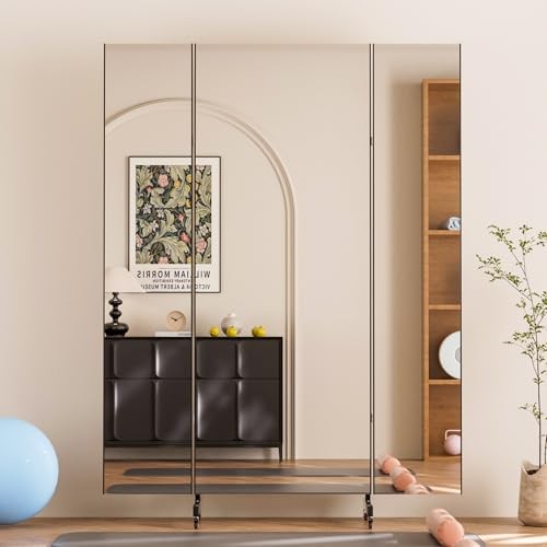 NanoMirror Non-Glass Ultra-Light Foldable Home Gym on 55″L x 71″W Black