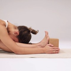 Cork Yoga Block Set– Ananday – Lot of 2 – 4″ x 6″ x 9″ Sustainable Cork NEW