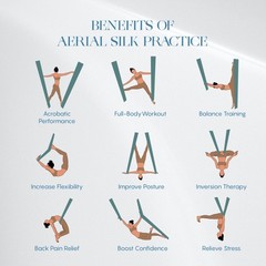 11 Yards Aerial Silks Kit – Durable Ariel Silks with Hardware, Swivel & Guide…