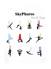 5.5 Yards Aerial Silks Yoga Swing Set – Aerial Yoga Hammock Kit… Fast USA SHIP