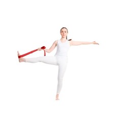 Virabha RPET Yoga Strap (PF4156)