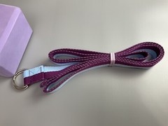 Gaiam Yoga Block And Teceum Strap 8 ft