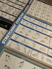WORKOUT LAMINATED POSTERS~5 PACK~2,DUMBBELL 2,STRETCHING 1,YOGA~17.5”X26.5” VNC