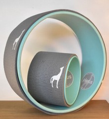 Plexus Wheels 2 Pc.Set 12″ 6″ Yoga Flexibility Strength Back Stretching Aqua