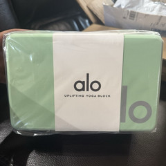 Alo Yoga Uplifting Yoga Block Foam Honeydew/Silver One Size A0084U 1pc