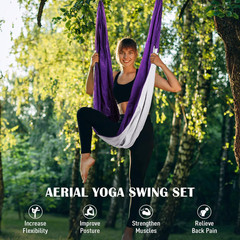 ZELUS Aerial Yoga Swing Sling Strong Yoga Hammock Kit Set Trapeze Inversion Equi