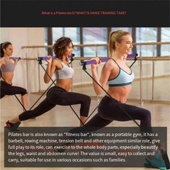 Stretched Fusion Multi-Functional Pilates Bar, Purple | for Home