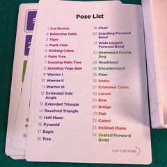 WORKOUT LABS Yoga Cards Beginner Simple Fitness For Everyone