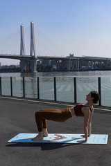 Beast Line Yoga Mat – Durable, Non-Slip, Sweat-Absorbent, Vivid Design