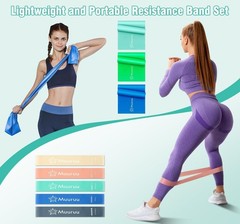 Muuruu Pilates Equipment Kit for Home Workout, Pilates Ring and Ball Set for …