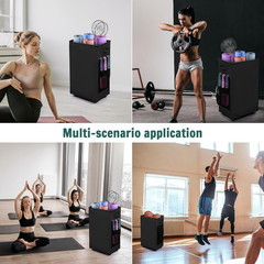 Yoga Mat Storage Racks, Home Gym Storage Rack with Wheels, Yoga Mat Holder Side