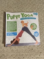 Mindfulness Puppy Yoga Game Wellness Balance The Yogi Puppy Self-care NEW