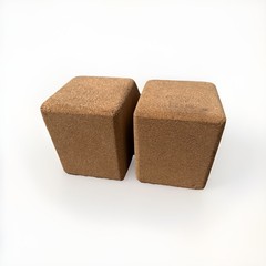 Pair Of Cork Yoga Blocks