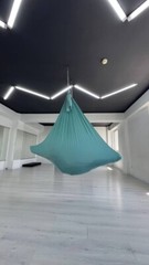 Professional Aerial Yoga Hammock Anti-Gravity Fly Yoga Swing with Chain Mounts