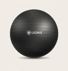 65cm Yoga Ball with Pump, Anti-Burst Exercise Ball for Home Gym, Stability Ball