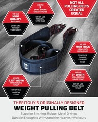 Sled Pulling Belt Adjustable Closure 2 Straps & 4 Hooks Multidirectional
