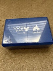 Disney yoga day block New