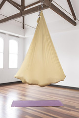 PINC Active Silk Aerial Yoga Swing & Hammock Kit for Improved Yoga Inversions, F