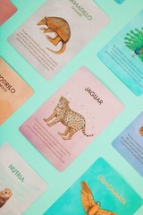 RARE 🐆 Yoganimal Didactic Yoga Card Deck (In Spanish)