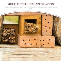 Natural Reed Bee Tubes 100 Pack 5.90 Inch Mason Bee House Tubes for